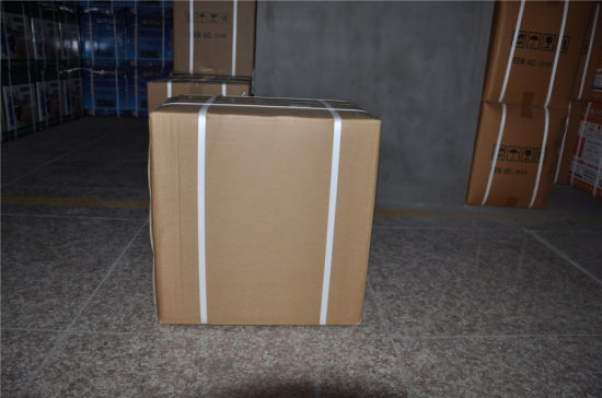 Fabricante de espaguetis eléctricos para hacer espaguetis (GRT - HODZM200)